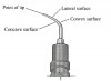 Figure 4  The point of the ultrasonic tip is defined as the terminal end of the insert and is the most powerful surface on an ultrasonic insert.