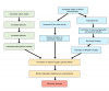 (2.) Formation of reactive oxygen species (ROS) as a result of diet and nutrition.<sup>1,5</sup>