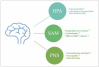 (2.)The three main pathways of psychoneuroimmunity modulated by psychological stress: HPA, SAM, and PNS.21