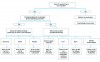 Fig 1. Treatment decision tree.